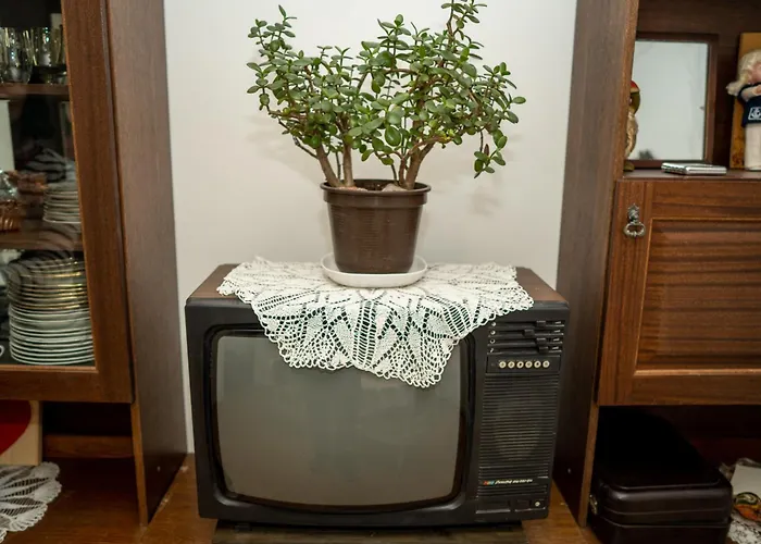 Dom wakacyjny Muuseum